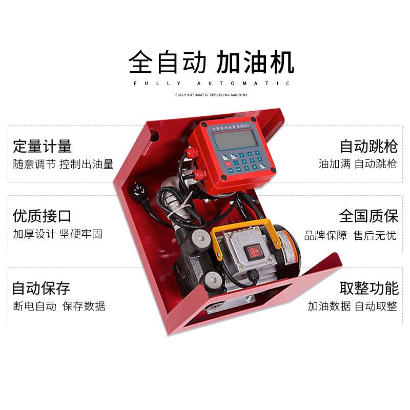 总成ACFD60B电子定量计价加油泵总成电动抽油泵12V24V220V加油机 - 图1