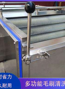 供应地黄半夏毛辊清洗机毛刷式金麦荞茯苓去泥机玉竹去泥沙机