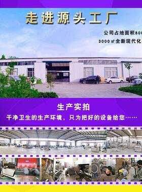 新款设红啤梨打浆机 阳不锈钢苹果梨榨机 崇苹果汁自动去铭盛核打