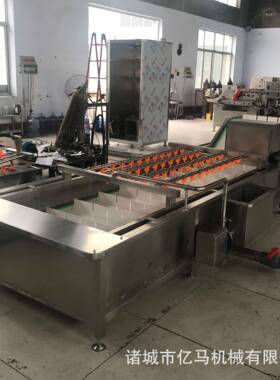 果蔬气泡清洗机鲜辣椒净菜加工设备小龙虾食品用气泡清洗机