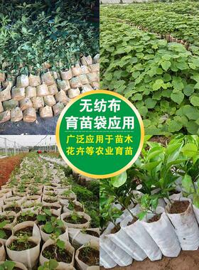 无纺布育苗袋热卖可降解营养钵园艺种植袋白色容器杯苗木美植袋子