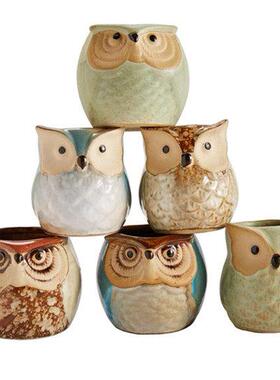 Owl Pot Succulent Cactus Flower Plant Pot Planter Garden