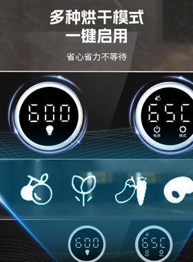 新款食品烘干机家用不锈钢干果机芒果牛肉鱼肉风干果蔬水果烘干机