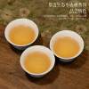 Wuxi Disposable Kung Fu Tea Set Sugar Cane Bamboo Fiber Environmentally Friendly Food Grade Business Portable Travel Tea Set