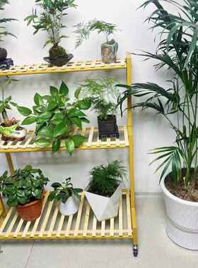 05新款花架可移动厂家直供轮置2物架阶梯客厅落地式带多层花架子
