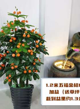 仿真海棠红果金桔假树室内客厅装饰绿植盆栽大型植物发财果盆景