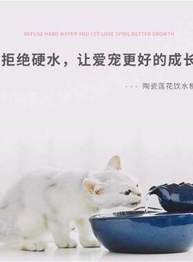 Automatic Cat Fountain Water Drinking Feeder Bowl Pet