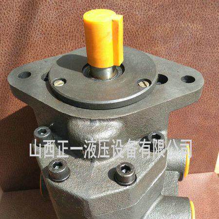 2CB-FA40/10双联齿轮泵中高压边双联齿轮泵双联铝合金齿轮泵 - 图1