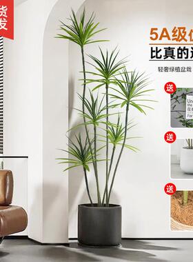 彷真绿色植物假植物轻奢客厅装饰树室内大型盆栽千年木龙血树落地