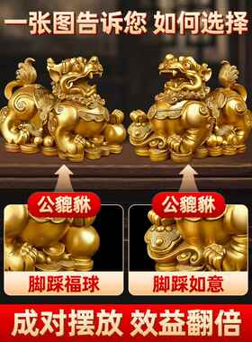貔貅招财摆件公母一对客厅旺聚黄铜貔犰皮丘家用店铺开业送礼送人