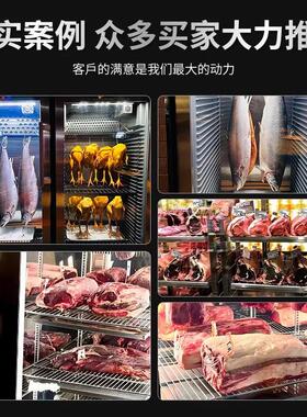 网红牛肉熟成柜商用深海鱼恒温恒湿保鲜展示柜干式湿式牛排排酸柜