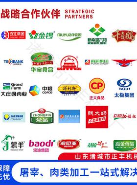 鲜肉切条定商用全自动切鸡鸭猪牛冻制块肉切机 鸡柳平切条机 鲜肉