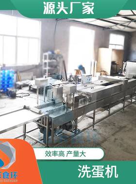 全自动鸡蛋清洗机洗蛋机设备多功能鸭蛋清洗机保洁蛋清洗机