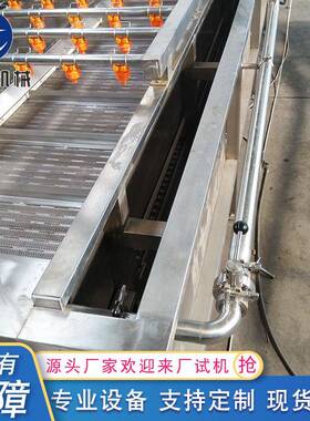 多功果蔬清洗机清叶菜类洗设备 能不锈钢材质葡萄蓝莓清悦泰洗机