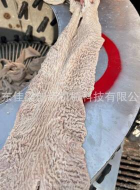 小型鸡胗打油机鸡爪脱皮板筋鸡嗦子鸭胗商用去油脱油机工厂直销