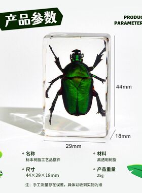 海洋生物滴胶树脂海星海螺螃蟹科学教具文创市集摆件工艺品手工