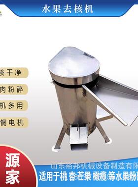 304不锈钢油柑去核机山楂酸枣西梅樱桃橄榄防腐蚀工业大型设备