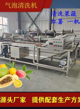 全自动蔬菜气泡清洗机商用白菜净菜清洗设备供应大型果蔬清洗线