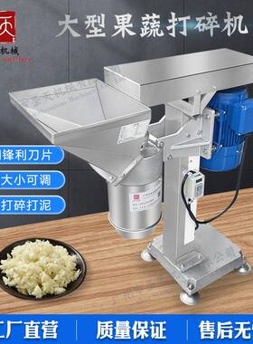 厂家销售蒜泥机多功能鲜姜蒜切碎机辣椒洋葱打泥机粗细可调