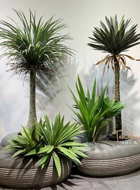 仿真沙漠肉质龙舌兰剑麻树芦荟仙人球柱室内落地庭院造景绿植盆栽