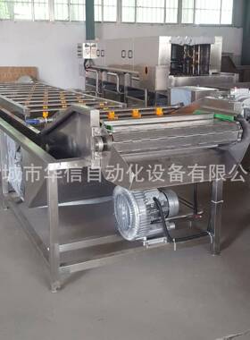 海鲜变频调速动提机升式喷淋莓自清洗设备海产品蓝清洗流水线厂家