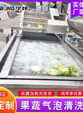 全自动不锈钢清洗机净菜加工设备大型蔬菜清洗机提子清洗机
