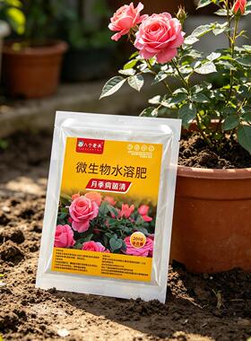 八个老头月季病菌清月季花专用黑斑白粉黄叶家庭园艺水溶性肥料