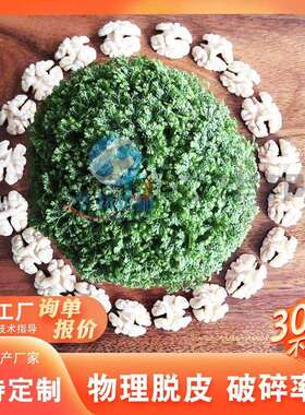 核桃仁去皮清洗机核桃仁物理脱皮机机械坚果去内皮设备