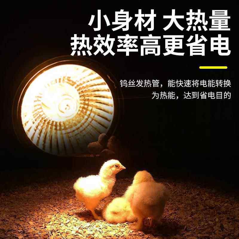 养殖取暖灯乌龟晒背灯取暖灯加热灯爬虫宠物取暖灯uva灯泡,淘宝优惠券,粉丝福利购,淘宝优惠卷