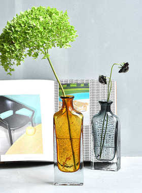 碧轩美式彩色透明花瓶水培玻璃插花器客厅桌面干花创意田园摆件