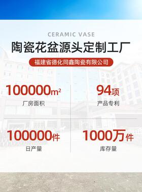 新款花盆陶瓷波纹简约ins风家用多肉蝴蝶兰吊兰专用花盆现货