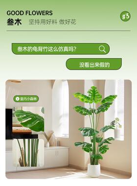 斯堪的纳维亚无障碍豪华模拟龟叶竹子大型室内客厅地板站立的家庭