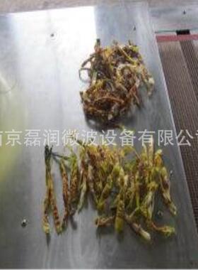 隧道式微波干燥设备工业微波带式干燥设备厂家直销箱式干燥设备