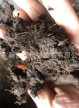 半湿蘑菇菌渣粉碎机湿渣无筛底细粉机树叶发酵草料粉碎机