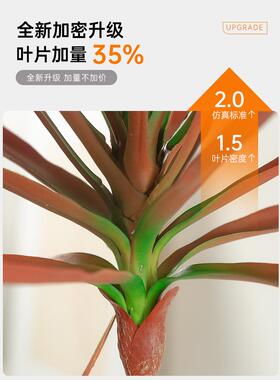千禧年木材模拟绿色植物优雅的可访问的豪华红色大型室内客厅地板