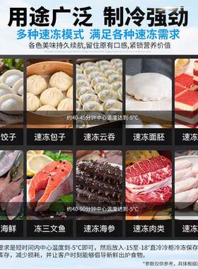泓海锋速冻柜用速冻冷柜零下80度急冻插盘包柜子饺子参速商739冻