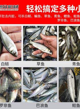 杀鱼机多功能活鱼宰杀机青鱼草鱼罗非鱼水产专用全自动宰鱼机