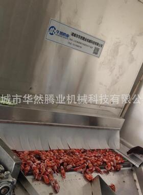 草莓果蔬速冻机水饺面食速冻设备隧道式单螺旋冷冻机油条单冻设备