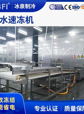 广州冰泉冻水果水饺丸子加工流速水线备 液氮动式隧自道901设速冻