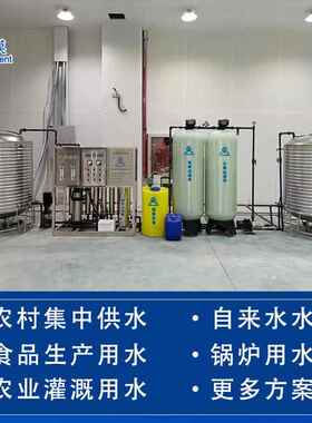 纯水处理设备食品纯水机净水反渗透厂家一体化设计