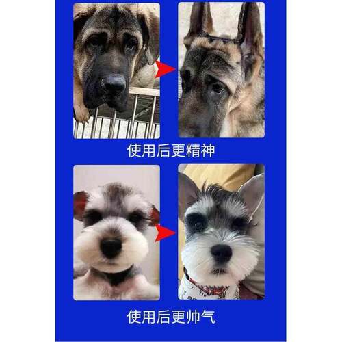 约克夏专用狗狗耳朵立耳神器小型犬狗立耳贴幼犬竖绑耳辅助固定器 - 图2