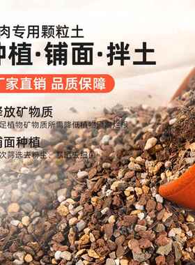 【萌芽熊】多肉专用土颗粒土种植栽培通用泥炭植物土铺面石纯颗粒
