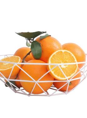 ins北欧铁艺水果糖果装饰摆件