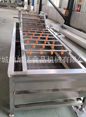 大型多功能果蔬气泡清洗机水浴式清洗设备全自动清洗风干线