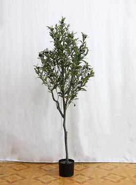 仿真绿植橄榄树ins 北欧风大型植物落地客厅装饰摆件室内造景假树