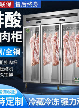 挂肉柜商用牛羊肉保鲜展示柜冷冻柜熟成柜鲜肉冷藏立式吊肉排酸柜