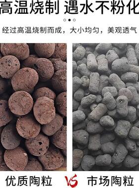 陶粒垫底多肉土水培养花专用轻质透气种花盆栽花盆铺面彩色陶土粒