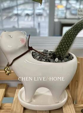采购产品猫花盆，猫尾柱花盆，陶瓷创意装饰饰品，桌面绿色植物，