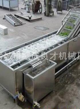 山东诸城牌SUS304果蔬清洗机带提升不锈钢蔬菜清洗机