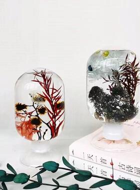 倒置浮游花圆头玻璃瓶DIY植物标本矿物油瓶自制高透干花香薰摆件